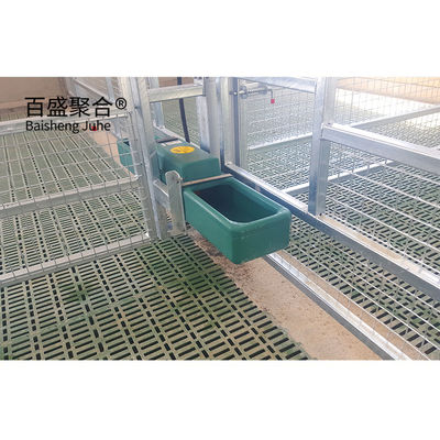 ISO9001 2008/CE/BV รับรอง Hot Dip Galvanized Prefabricated Steel Structure อาคารเลี้ยงสัตว์สําหรับหมู แกะวัว