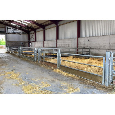 ISO9001 2008/CE/BV รับรอง Hot Dip Galvanized Prefabricated Steel Structure อาคารเลี้ยงสัตว์สําหรับหมู แกะวัว