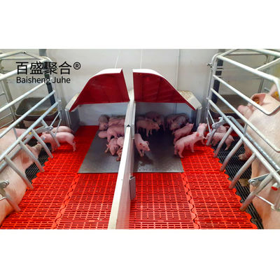 การปลูกหมู สายพนันการปลูกหมูที่มีช่องเหล็กทรง C.Z และเคลือบกระดาษเหล็กอัดร้อน