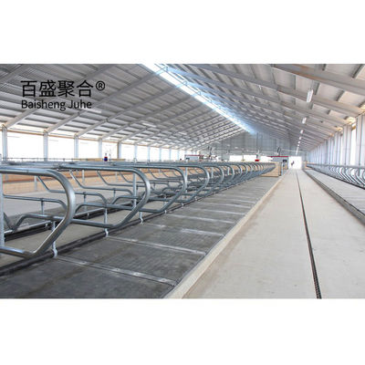 ISO9001 2008/CE/BV การรับรอง โครงการนําเสนอเหล็ก H โครงการนําเสนอโรงเลี้ยงสัตว์สําหรับวัว