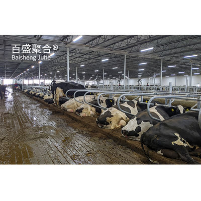 ISO9001 2008/CE/BV การรับรอง โครงการนําเสนอเหล็ก H โครงการนําเสนอโรงเลี้ยงสัตว์สําหรับวัว