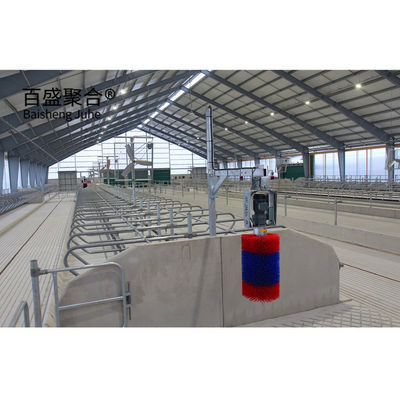 ISO9001 2008/CE/BV การรับรอง โครงการนําเสนอเหล็ก H โครงการนําเสนอโรงเลี้ยงสัตว์สําหรับวัว