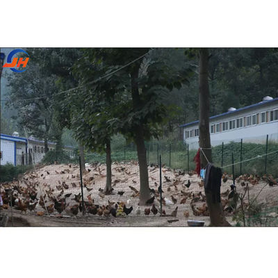 โครงสร้างสแตนเลส ดีไซน์ที่ทันสมัย ไก่สําหรับฟาร์มไก่ บ้านโครงสร้างสแตนเลส โรงงานฟาร์ม