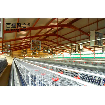 Hot Dip Galvanized โมเดิร์น ดีไซน์ ไก่ Coop สําหรับการเลี้ยงไก่ บ้านฟาร์ม โครงสร้างเหล็ก
