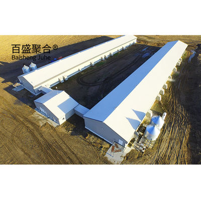 Hot Dip Galvanized โมเดิร์น ดีไซน์ ไก่ Coop สําหรับการเลี้ยงไก่ บ้านฟาร์ม โครงสร้างเหล็ก