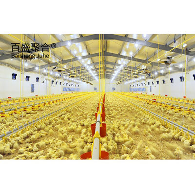 Hot Dip Galvanized โมเดิร์น ดีไซน์ ไก่ Coop สําหรับการเลี้ยงไก่ บ้านฟาร์ม โครงสร้างเหล็ก