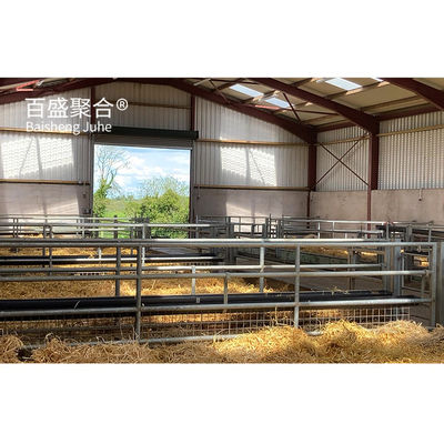 สามารถปรับปรุง C.Z Shape Steel Channel Purlin Sheep Shed บ้านสําหรับการจัดการสัตว์เลี้ยง