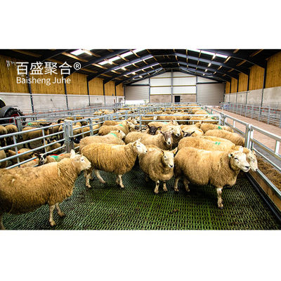 สามารถปรับปรุง C.Z Shape Steel Channel Purlin Sheep Shed บ้านสําหรับการจัดการสัตว์เลี้ยง
