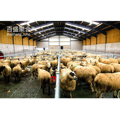 สามารถปรับปรุง C.Z Shape Steel Channel Purlin Sheep Shed บ้านสําหรับการจัดการสัตว์เลี้ยง