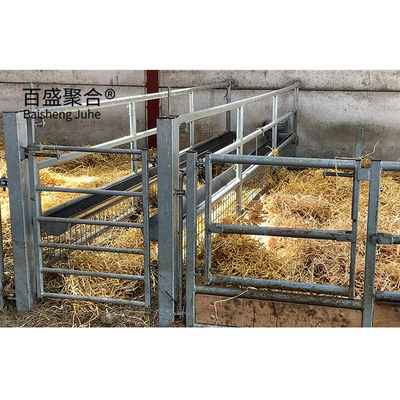 สามารถปรับปรุง C.Z Shape Steel Channel Purlin Sheep Shed บ้านสําหรับการจัดการสัตว์เลี้ยง