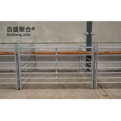 Hot Dip Galvanized Prefab Steel ร้านวัว ร้านวัว ร้านแกะ