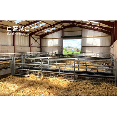 ราคาถูก Prefab โลหะอาคาร แกะแพะฟาร์ม บ้านหอพัก พร้อมการออกแบบ PKPM
