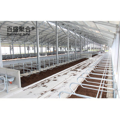 โครงการที่ประสิทธิภาพ หนัก Prefabricated บ้านวัว / บ้านวัวกับ C.Z รูปแบบ Purlin