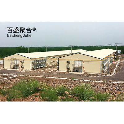 ASTM Standard Customized Commercial Pig House ด้วยประตูม้วนและโครงสร้างเหล็ก Prefab