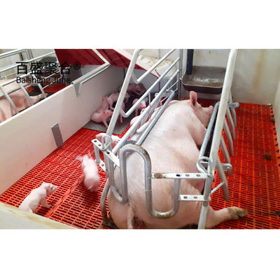 ASTM Standard Customized Commercial Pig House ด้วยประตูม้วนและโครงสร้างเหล็ก Prefab