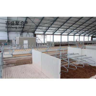 Heavy Prefabricated Steel Structure Cow Shed for MTS การออกแบบการวาดภาพ โรงงานเกษตรสัตว์นม