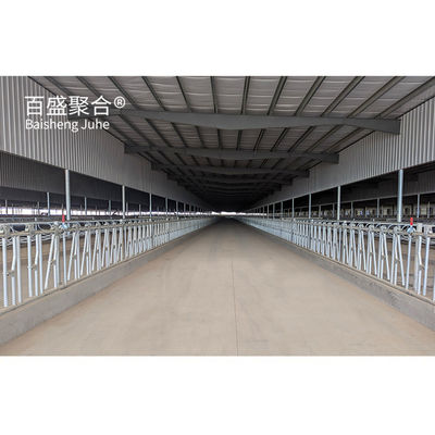 Heavy Prefabricated Steel Structure Cow Shed for MTS การออกแบบการวาดภาพ โรงงานเกษตรสัตว์นม