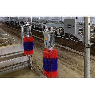 Heavy Prefabricated Steel Structure Cow Shed for MTS การออกแบบการวาดภาพ โรงงานเกษตรสัตว์นม