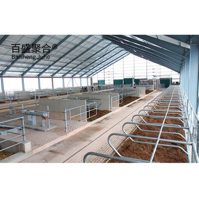 Heavy Prefabricated Steel Structure Cow Shed for MTS การออกแบบการวาดภาพ โรงงานเกษตรสัตว์นม