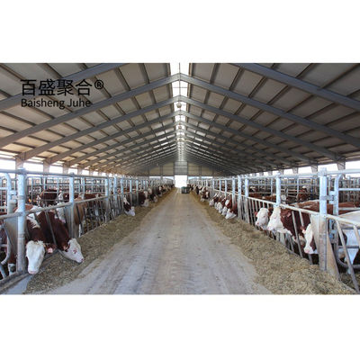 Heavy Prefabricated Steel Structure Cow Shed for MTS การออกแบบการวาดภาพ โรงงานเกษตรสัตว์นม