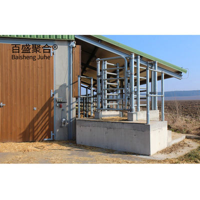 Heavy Prefabricated Steel Structure Cow Shed for MTS การออกแบบการวาดภาพ โรงงานเกษตรสัตว์นม