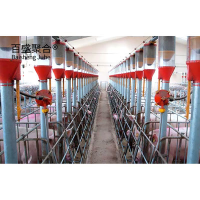 โครงสร้างเหล็กระยะยาว โรงเลี้ยงหมูสําหรับการเกษตร โครงการก่อสร้างบ้านหมู