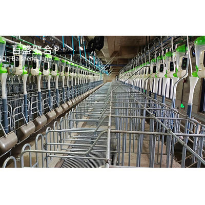 โครงสร้างเหล็กเรือนหลังคา Prefabricated รางโรงเลี้ยงสําหรับโรงเลี้ยงหมูและฟาร์มหมู