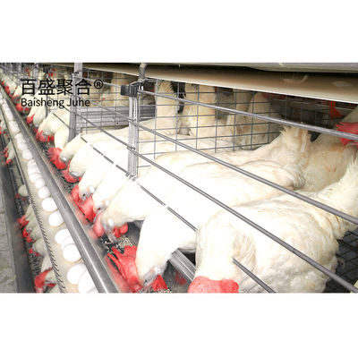 ± 1% ความอดทน สร้างไว โครงสร้างเหล็ก บ้านไก่สําหรับฟาร์มไก่ Prefab