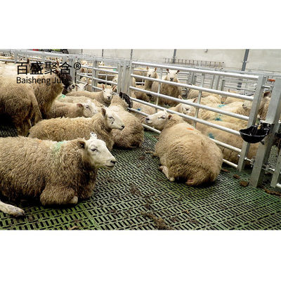 โลหะอัลลูมิเนียม หน้าต่าง Prefab Animal Shed โครงสร้างเหล็กสําหรับการเลี้ยงแกะและแพะ
