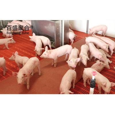 การเกษตรสแตนเลส ซื้ออุปกรณ์ฟาร์มควบคุมนก โรงพืชสําหรับฟาร์มหมูพาณิชย์ในอินเดีย