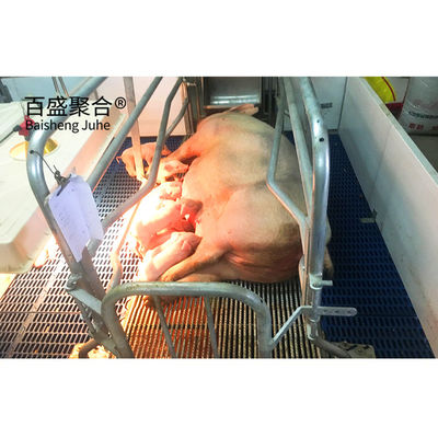 การเกษตรสแตนเลส ซื้ออุปกรณ์ฟาร์มควบคุมนก โรงพืชสําหรับฟาร์มหมูพาณิชย์ในอินเดีย