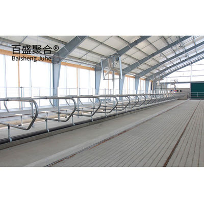 AiSi สถาปนิกเหล็กแบบสแตนด์ Prefabricated โรงเลี้ยงวัวสําหรับฟาร์มวัวและฟาร์มนม