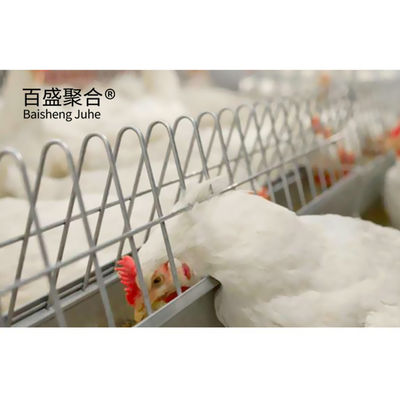 สีที่กําหนดเอง การออกแบบกระเป๋าไก่ไก่ไก่ไก่ไก่ไก่