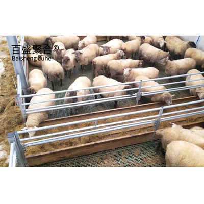 Q235 สแตนเลสคาร์บอนต่ํา หนัก Pre-design แกะ/วัว โครงสร้างสแตนเลส โรงฟาร์ม โรงไก่พาณิชย์