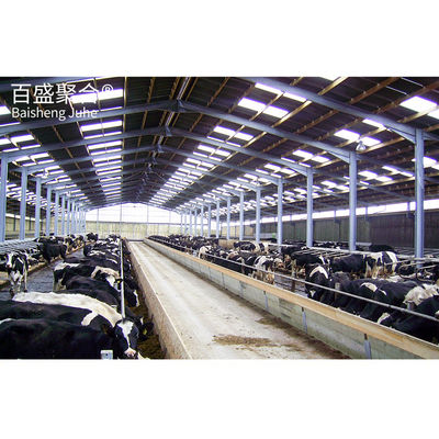 อาคารฟาร์มเหล็กระดับขนาดใหญ่ Prefabricated Galvanized สําหรับการจัดเก็บวัว Logistics