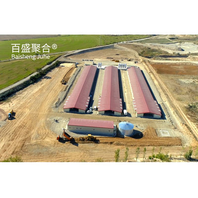 ISO9001 2008/CE/BV รับรองโรงเลี้ยงเหล็กสําหรับการเลี้ยงสัตว์และการเลี้ยงนก
