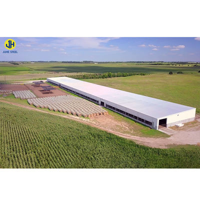 Tolerance ± 1% Customized Light Steel Structure Farm Shed Storage Warehouse อาคารที่สร้างขึ้น